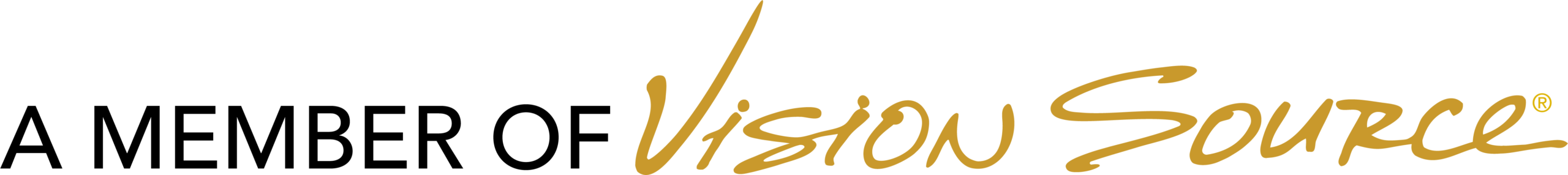 VS_Gold_MemberOf_Horiz_Logo